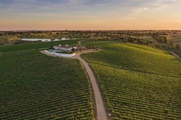 Vino y tradición al sur de Portugal