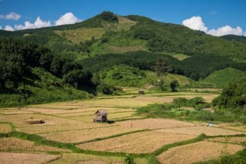 Destinos clásicos de EL PAÍS Viajes: los favoritos de los viajeros