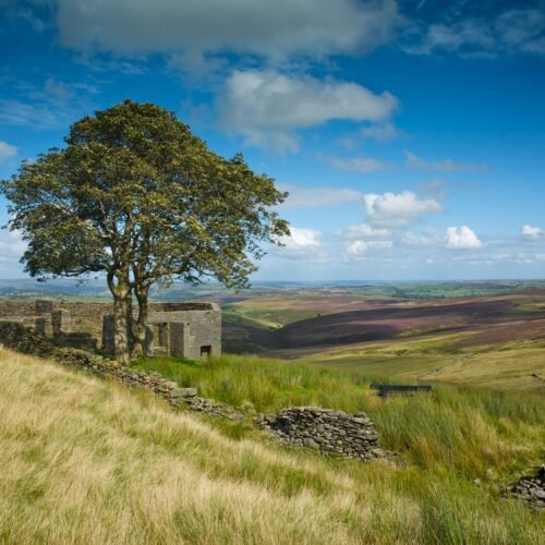 Viaje al corazón de ‘Cumbres Borrascosas’ con Espido Freire y EL PAÍS Viajes