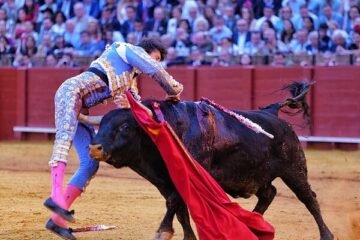 La cogida de Andrés Roca Rey en la Maestranza, en imágenes