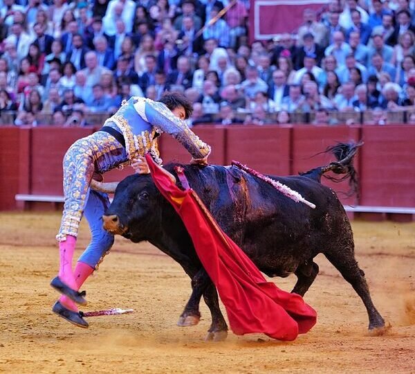 La cogida de Andrés Roca Rey en la Maestranza, en imágenes