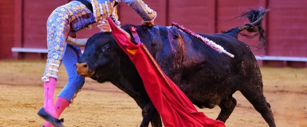 Roca Rey, herido grave en Sevilla