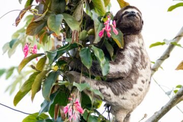 10 destinos desconocidos de Perú: cuevas gigantescas, cascadas ocultas o el cañón profundo de Arequipa