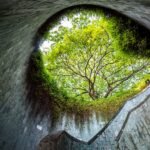 15 razones por las que queremos viajar esta primavera