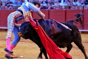 Un toro cornea a Roca Rey y lo hiere gravemente en Sevilla