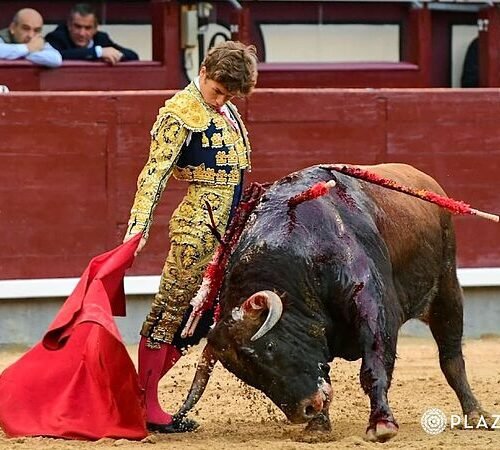 Puerta Grande para la impactante revelación de Álvaro Serrano en Las Ventas