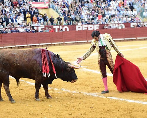 Morante de la Puebla causa baja este sábado en Nimes