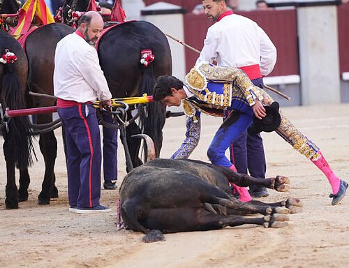 Gloriosa oda al toro ‘Cantaor’: la excelencia de Victoriano del Río se cita, otra vez, con Las Ventas