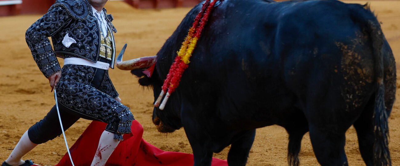 Morante de la Puebla confirma su reaparición el próximo domingo en Aranjuez