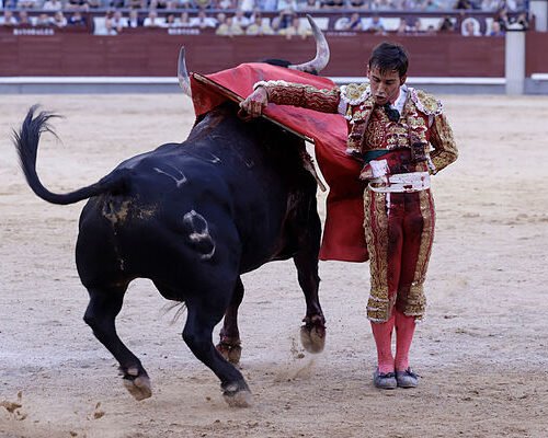 Una tarde muy rica en Las Ventas, tres toros de nota y un torero necesario: Ismael Martín