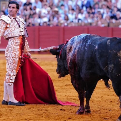 Morante de la Puebla, eje de un verano histórico en El Puerto de Santa María