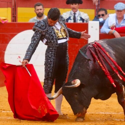 Lo tremendo frente al tremendismo: Morante marca la diferencia en tarde triunfal y huracanada de Manzanares y Roca Rey en Alicante