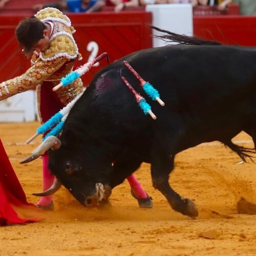 Samuel Navalón se impone en la difícil prueba del Puerto en Alicante