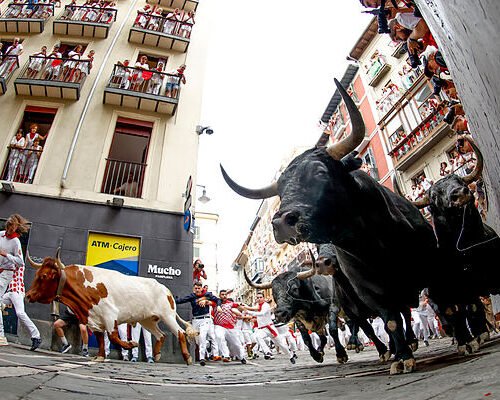 Las mejores fotos del séptimo encierro de San Fermín 2026: el turno de los imponentes Miura