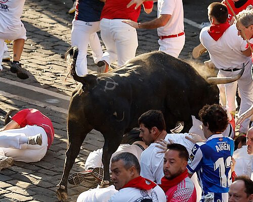 Octavo encierro de San Fermín: jandillas veloces y peligrosos que dejan tres cornadas