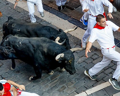 San Fermín 2026: las mejores imágenes del octavo y último encierro
