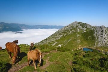 Lo que no puedes perderte si vas a Asturias de vacaciones este verano