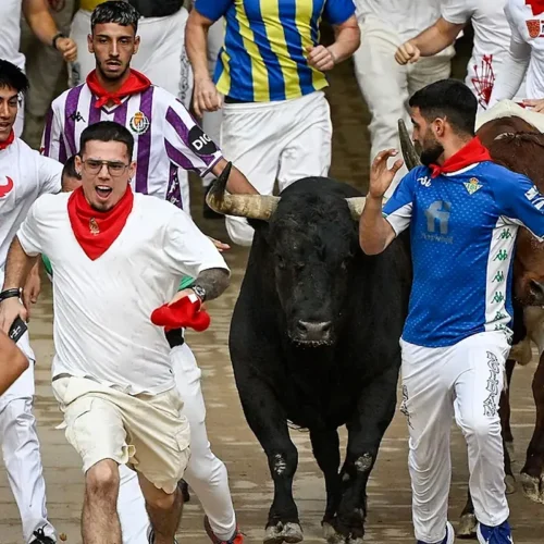 Sexto encierro de San Fermín 2026 con toros de La Palmosilla: una carrera masificada