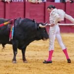 David de Miranda es el «número 1» en rendimiento de un escalafón que lidera Talavante y en el que mandan Morante y Roca Rey
