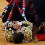 Morante vuelve a nacer entre la incomprensión; triunfan Roca Rey y Miranda en Málaga