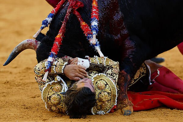 Morante vuelve a nacer entre la incomprensión; triunfan Roca Rey y David de Miranda en Málaga