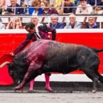 Belmontino, cumbre de la exacerbada exaltación de Dolores Aguirre en Bilbao