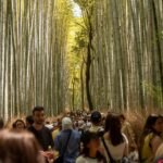 Lugares sobrevalorados: el bosque de bambú de Arashiyama, en Japón, que es solo un paseo