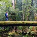 Tasmania inesperada: diseño, naturaleza y deliciosa cocina de proximidad