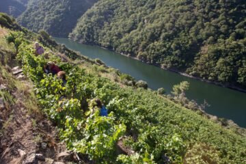 Ribeira Sacra, Albarracín, Timanfaya y otros 15 rincones fotogénicos de España que merecen una parada
