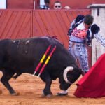 Una nueva lección de magisterio, pureza y arte de Morante de la Puebla en Aranjuez