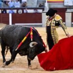 Una importante tarde de Damián Castaño entre pablorromeros de buena nota en Las Ventas
