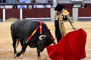 Una importante tarde de Damián Castaño entre pablorromeros de buena nota en Las Ventas