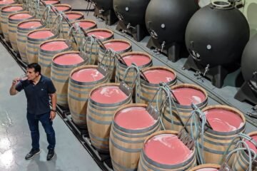 Descubriendo Requena, Ciudad Española del Vino 2026